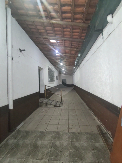 Foto REO1120626