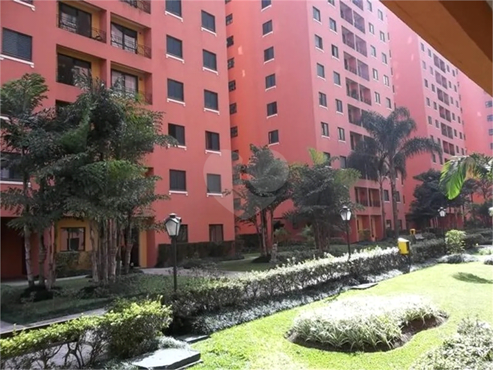 Foto REO1120648