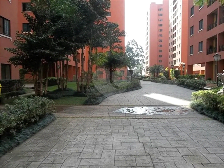 Foto REO1120648