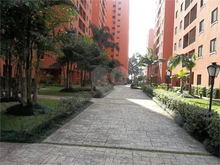 Foto REO1120648