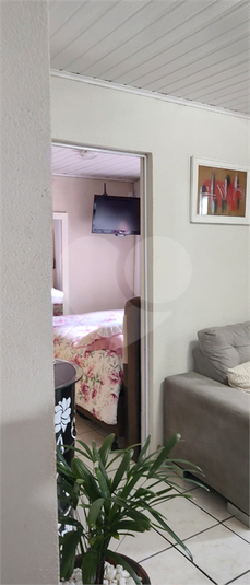 Foto REO1120658
