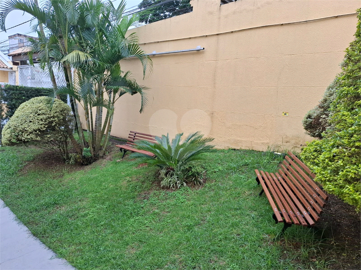 Foto REO1120660