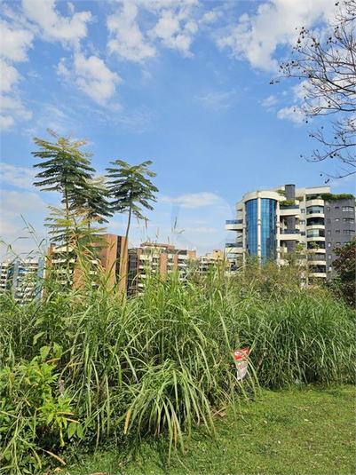 Foto REO1120685