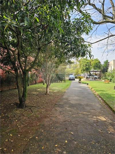 Foto REO1120685