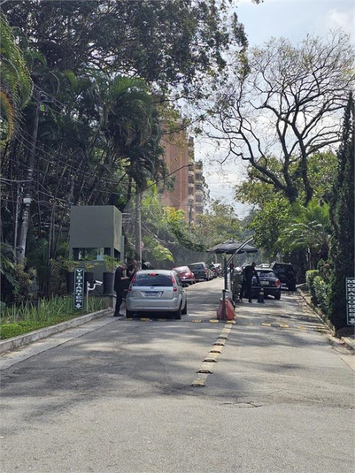 Foto REO1120685