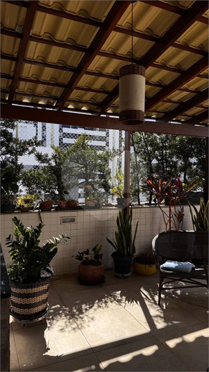 Foto REO1120691