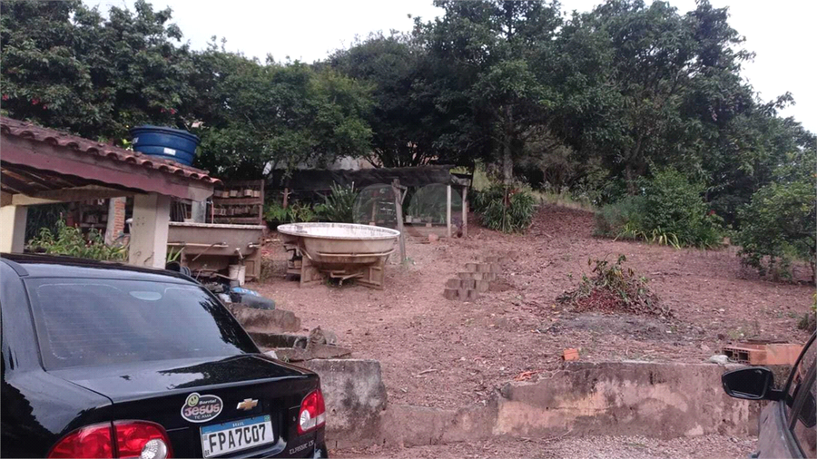 Foto REO1120730