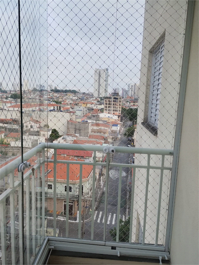 Foto REO1120733