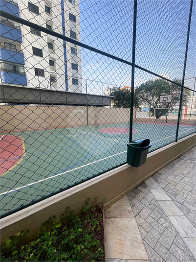 Foto REO1120736