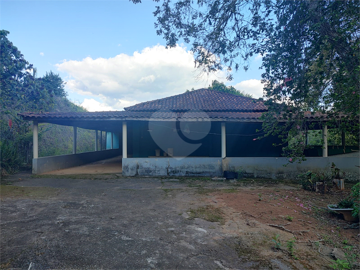 Foto REO1120741