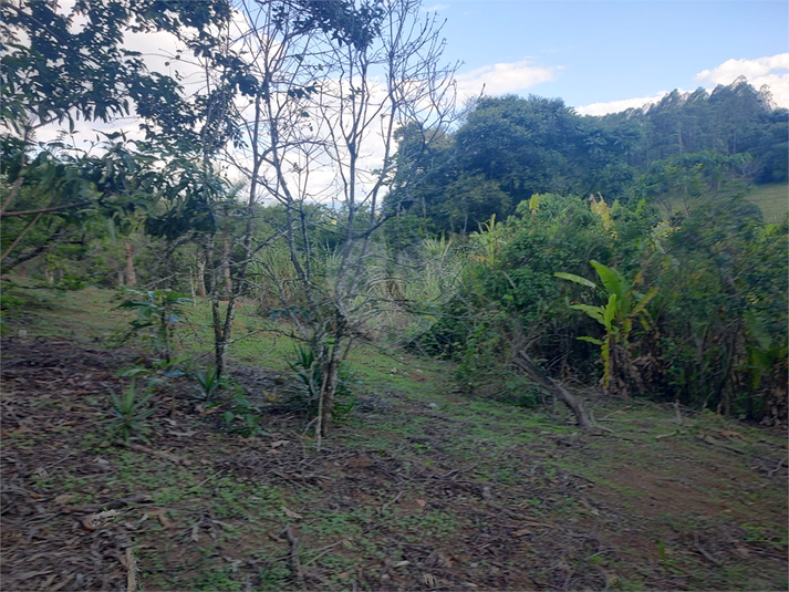 Foto REO1120741