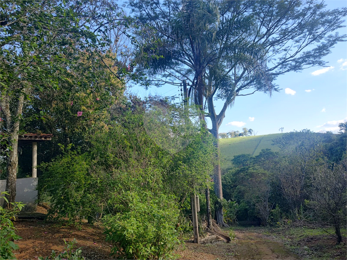 Foto REO1120741