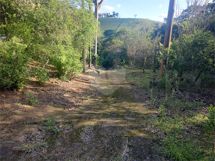 Foto REO1120741