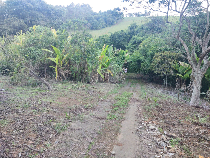 Foto REO1120741