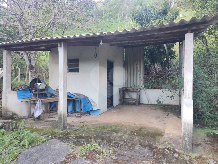 Foto REO1120741
