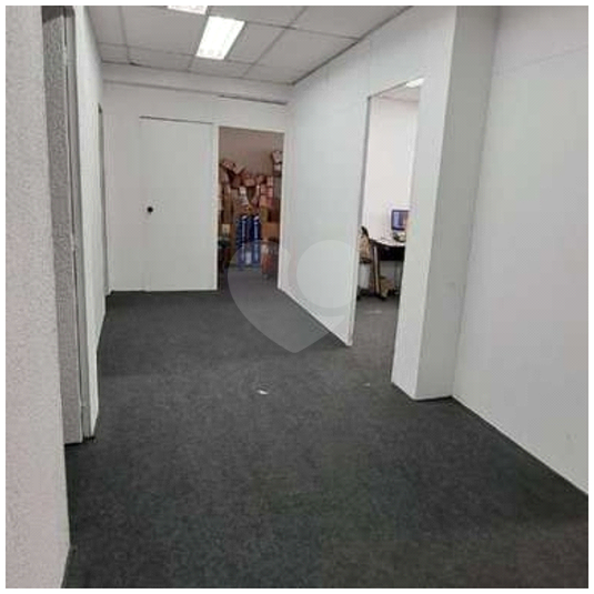 Foto REO1120749