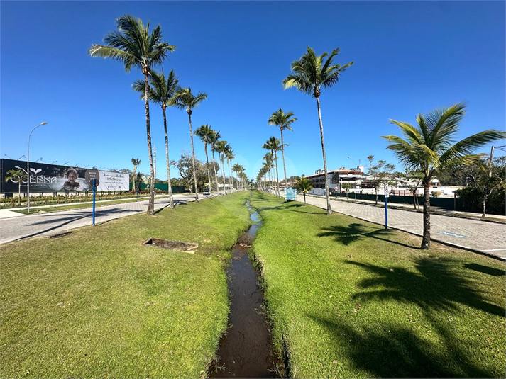 Foto REO1120767