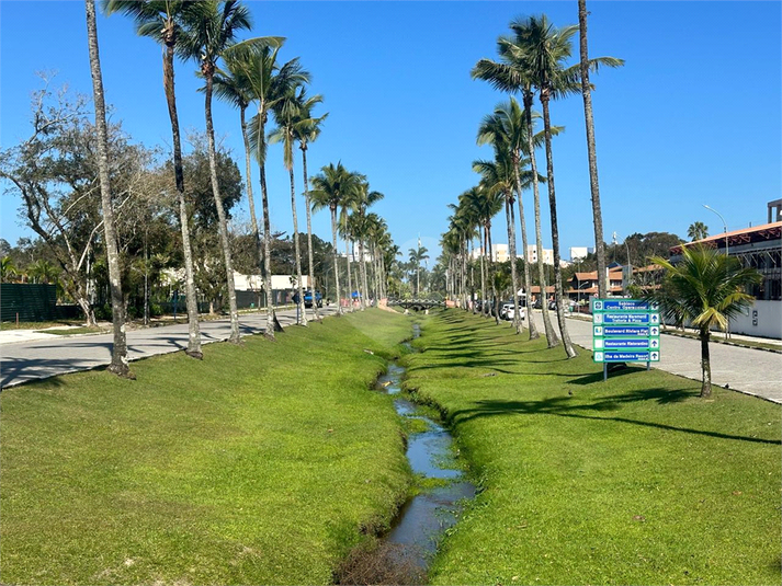 Foto REO1120767