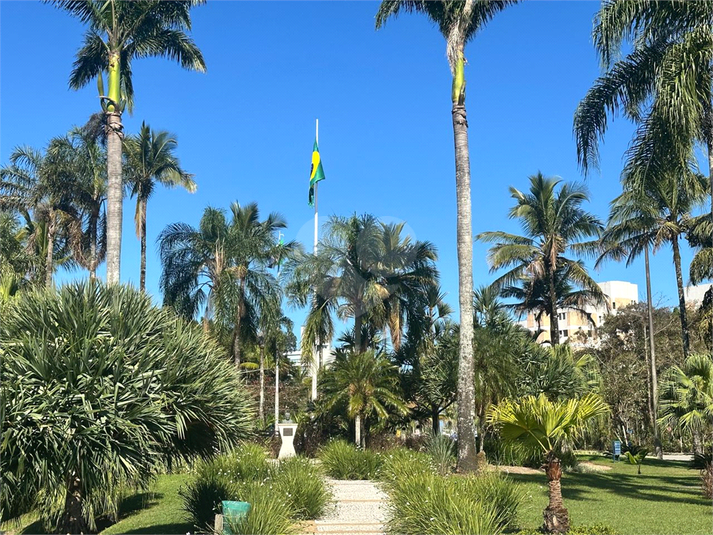 Foto REO1120767