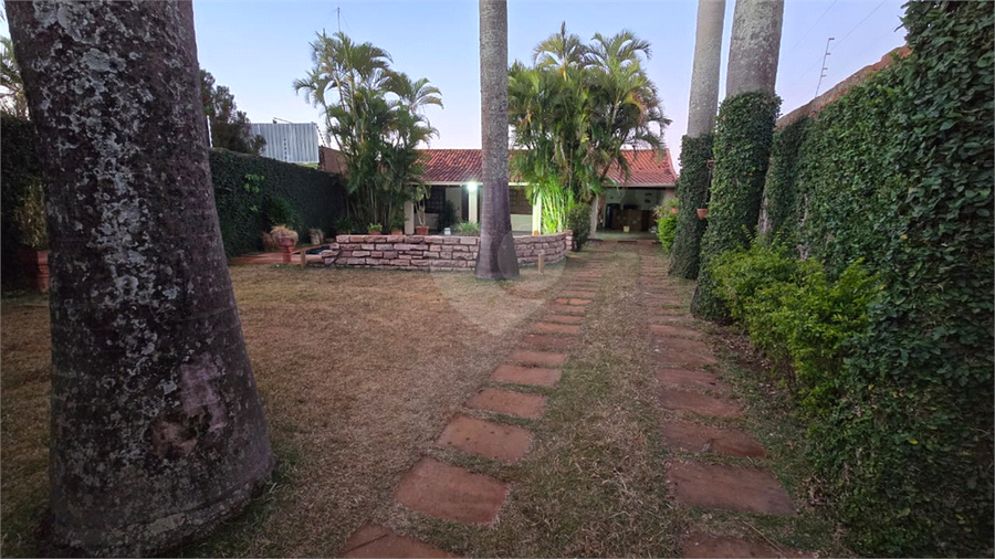 Foto REO1120768