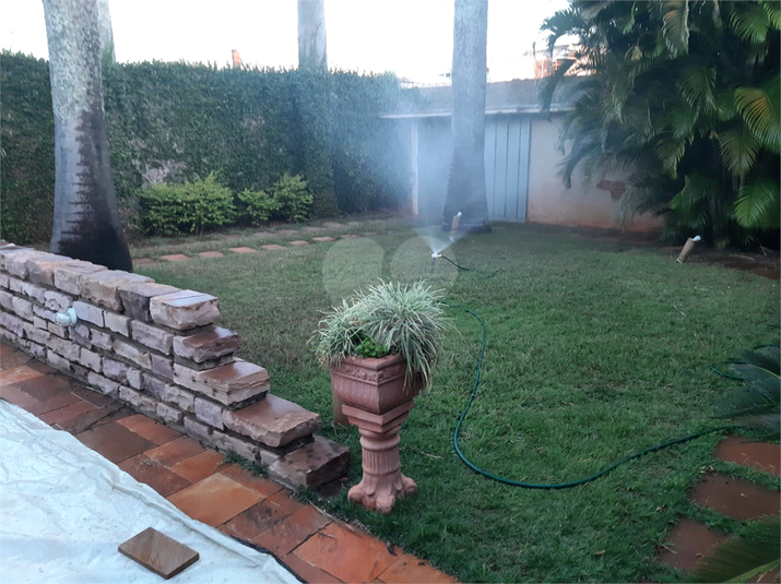 Foto REO1120768