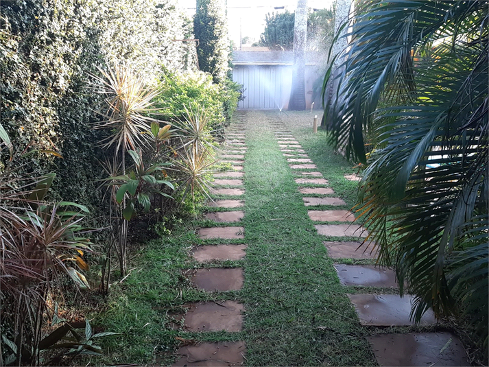 Foto REO1120768
