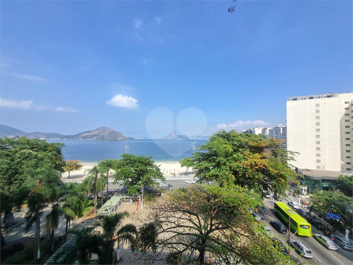 Foto REO1120769