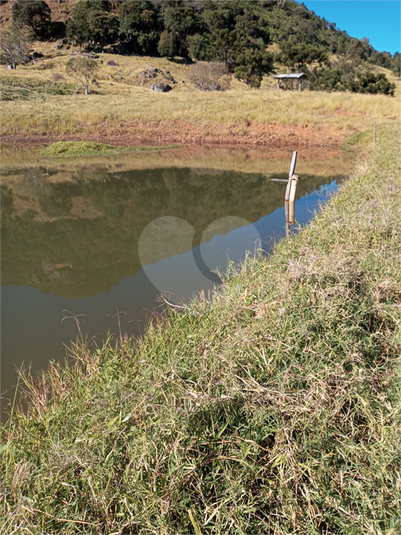Foto REO1120775