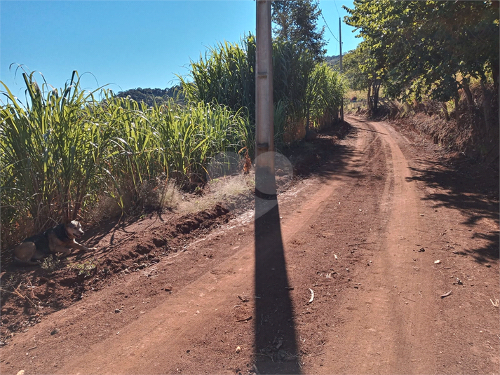 Foto REO1120775