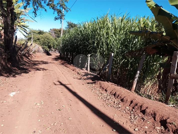 Foto REO1120775