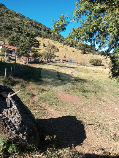 Foto REO1120775