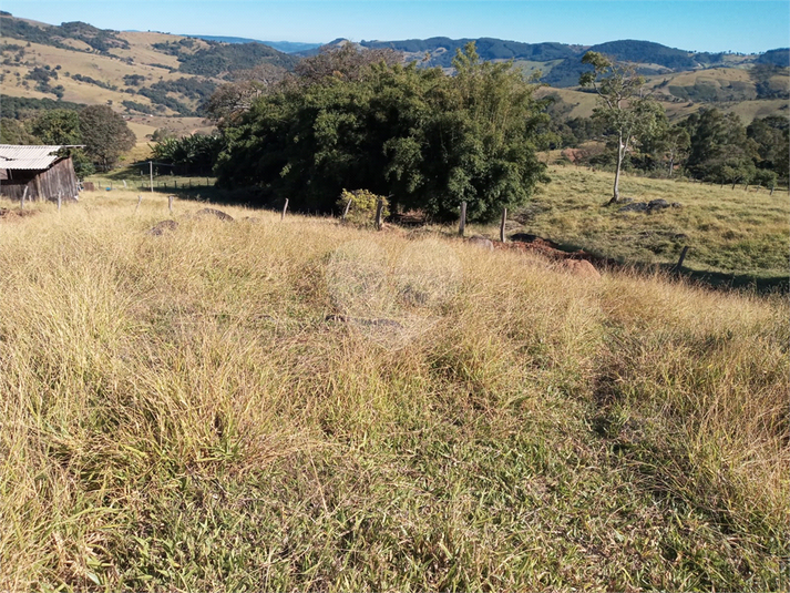 Foto REO1120775