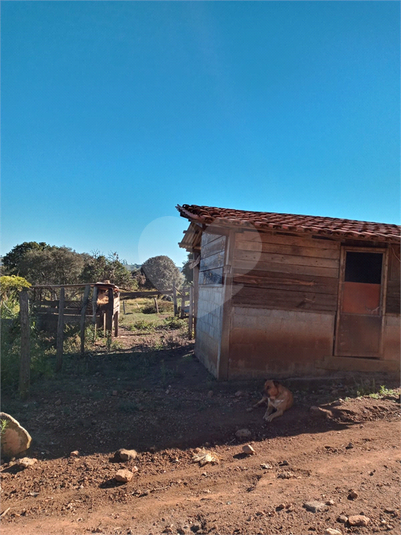 Foto REO1120775
