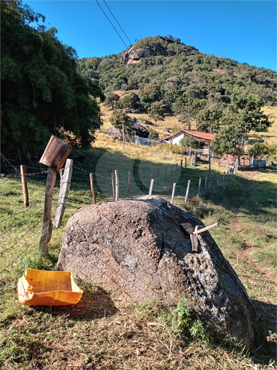 Foto REO1120775