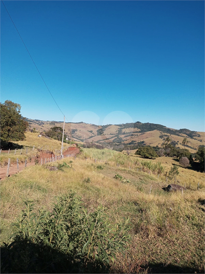Foto REO1120775