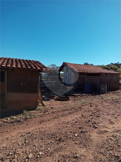 Foto REO1120775