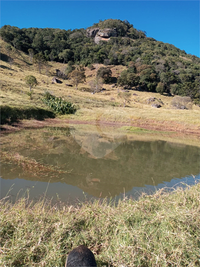 Foto REO1120775