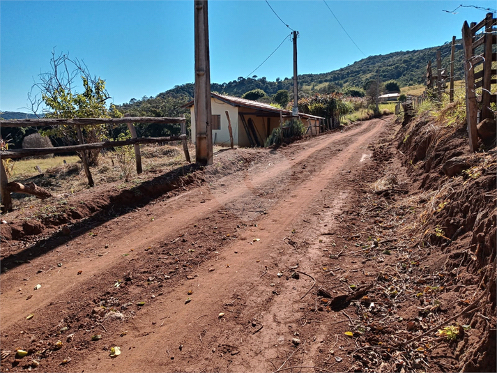 Foto REO1120775