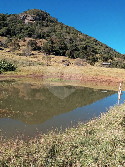 Foto REO1120775
