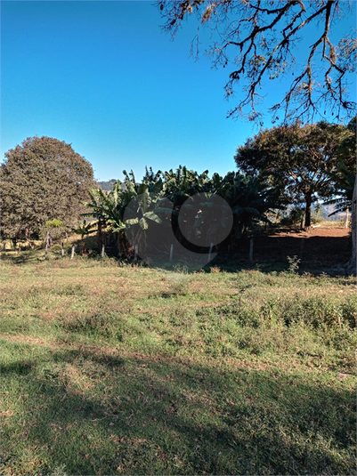 Foto REO1120775
