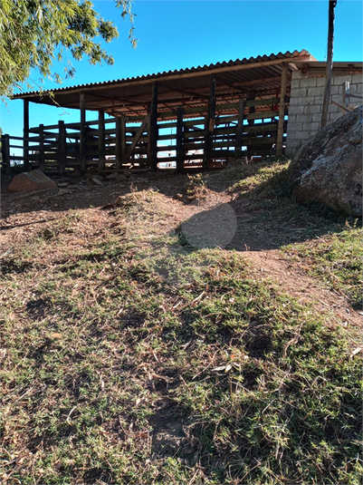 Foto REO1120775