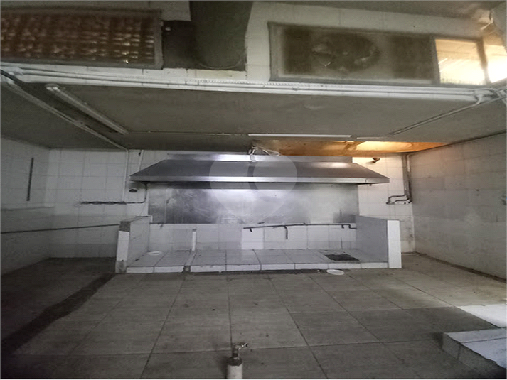 Foto REO1120780