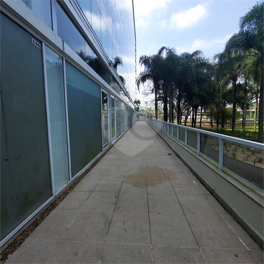 Foto REO1120784