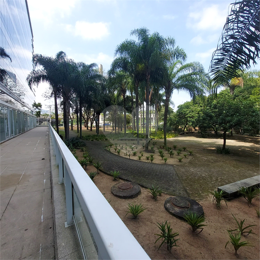 Foto REO1120784