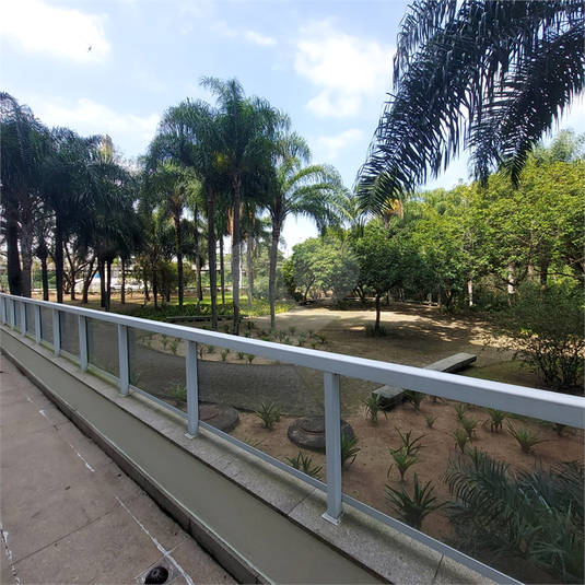 Foto REO1120784