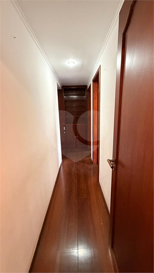 Foto REO1120788