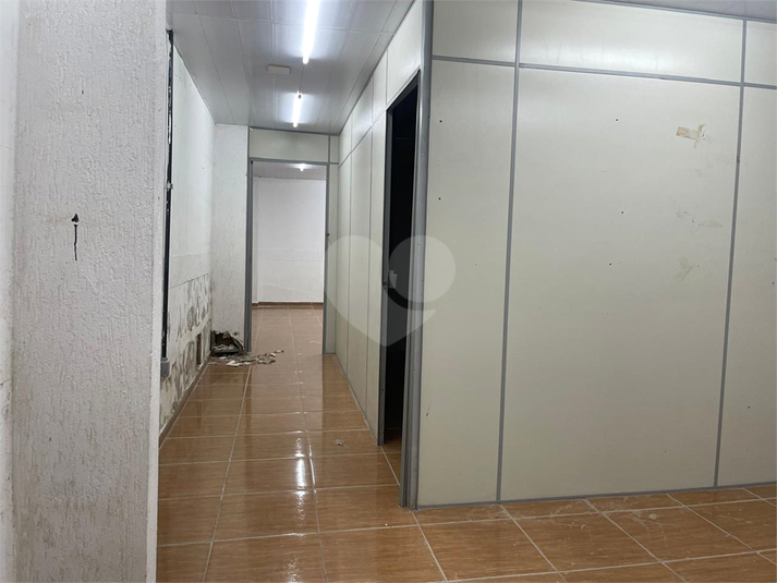 Foto REO1120839