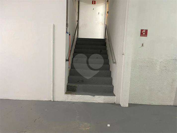 Foto REO1120839