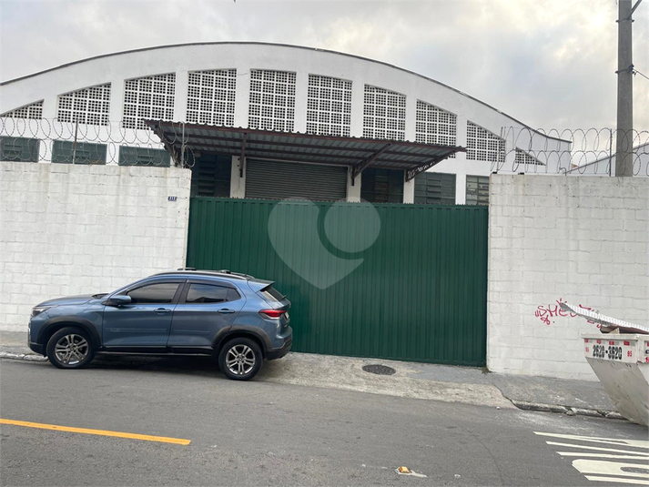 Foto REO1120839