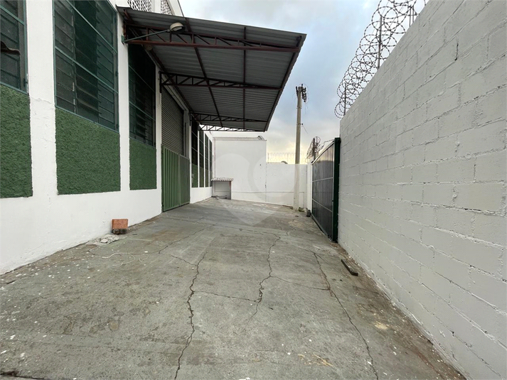 Foto REO1120839